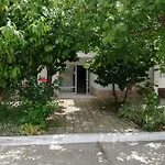 Bravo 1-vichevi