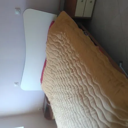 Bravo 1-vichevi סאני ביץ'